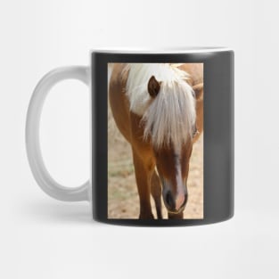 Pony Mug